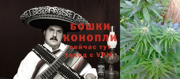 PSILOCYBIN Баксан
